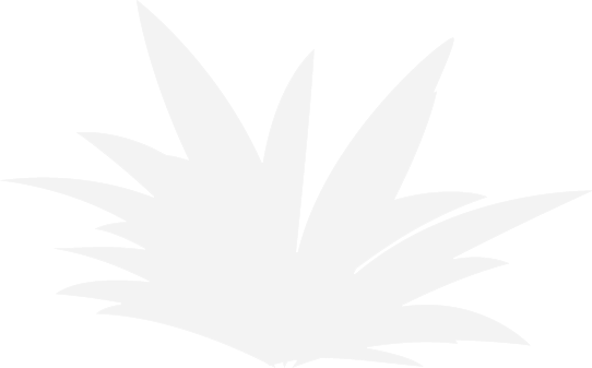 grass