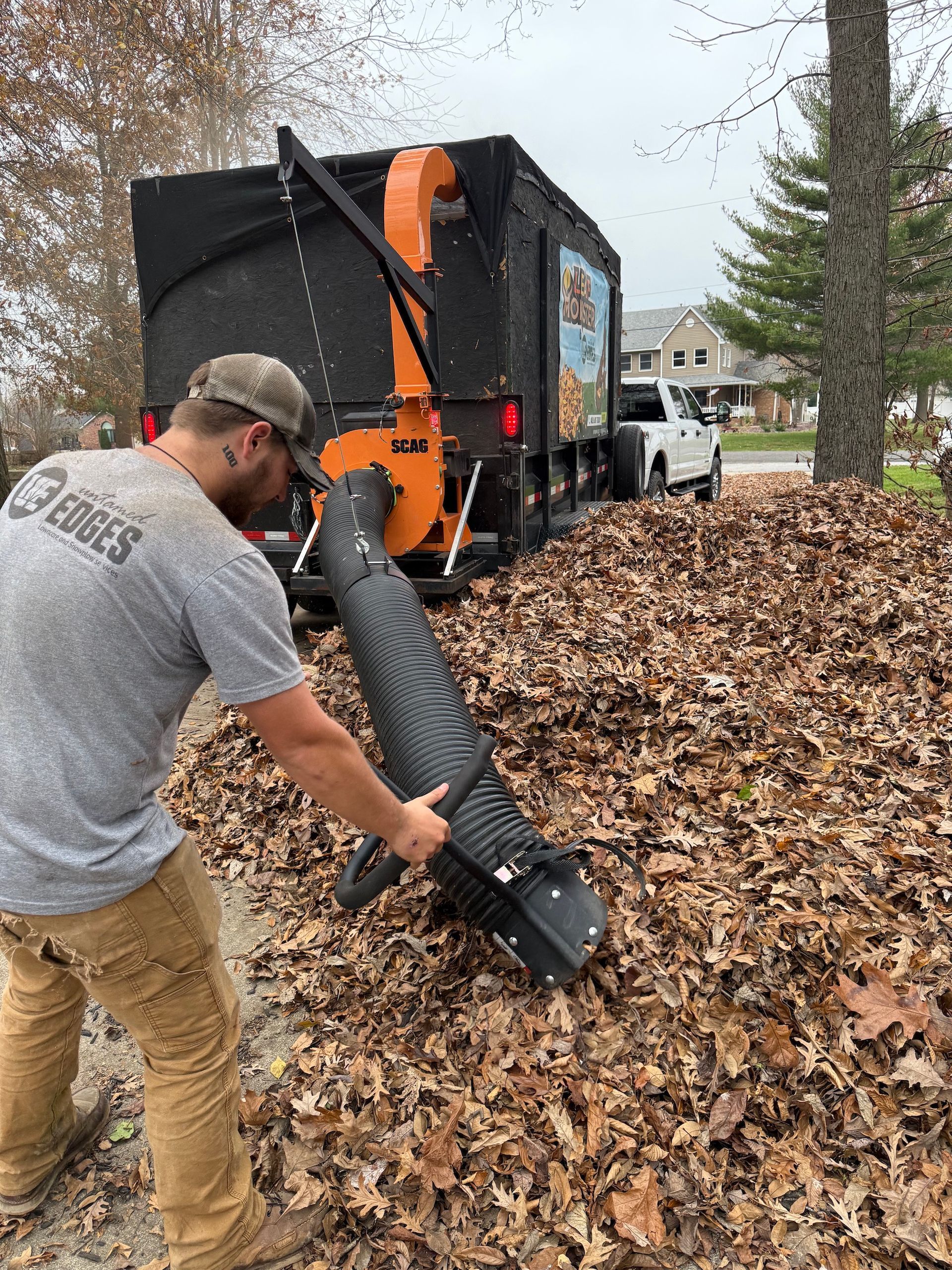 property cleanup