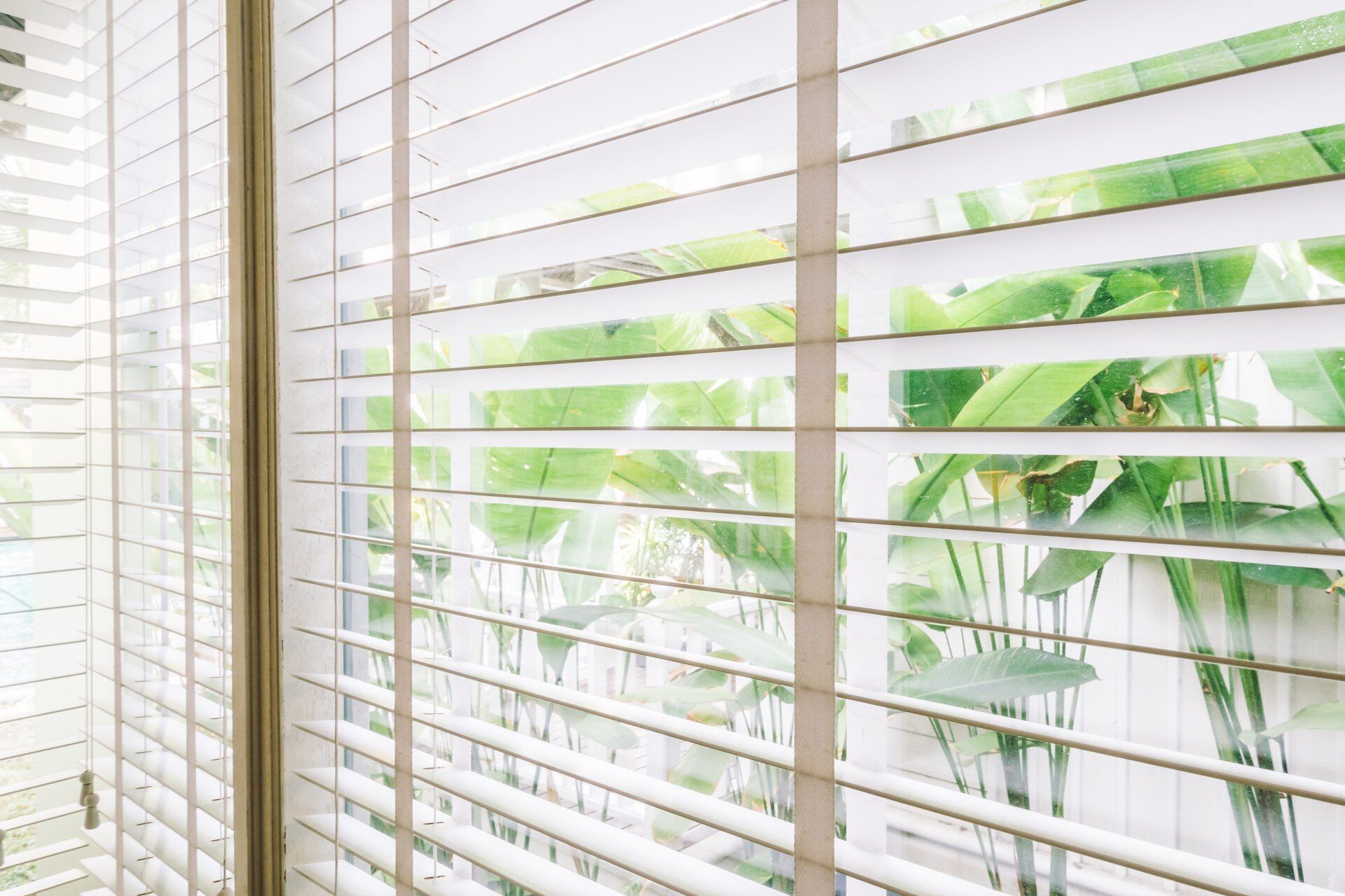 White window blinds with sunlight filtering through, partly revealing green plants outside.