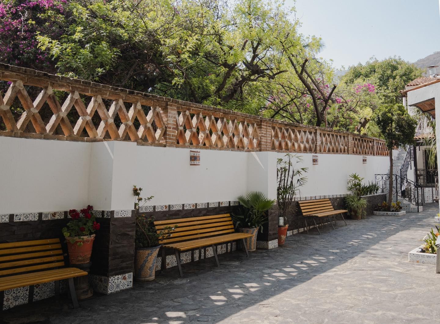 A row of wooden benches in front of a white wall.