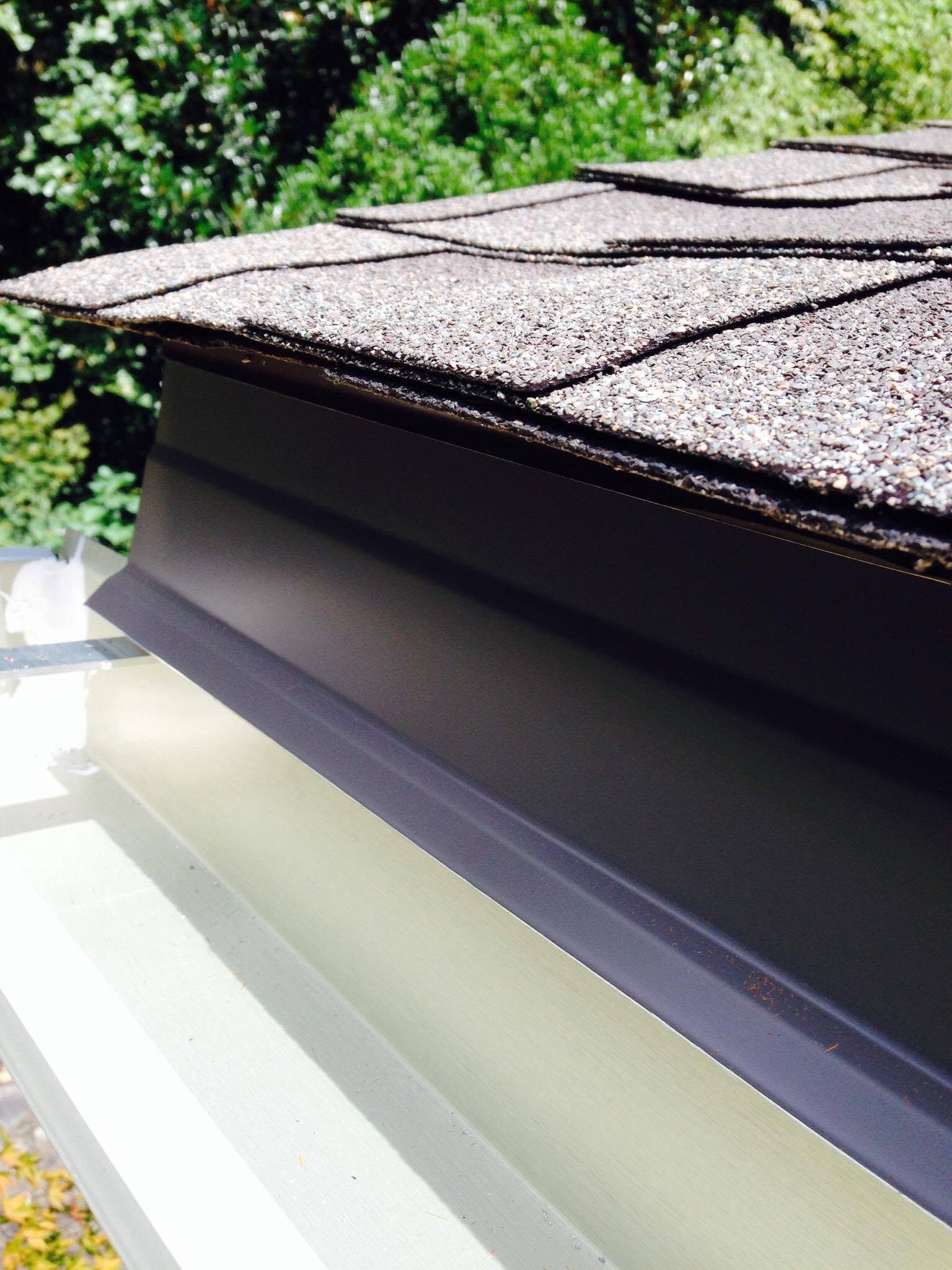 Close-up of a shingled roof edge with gutter and green trees in the background
