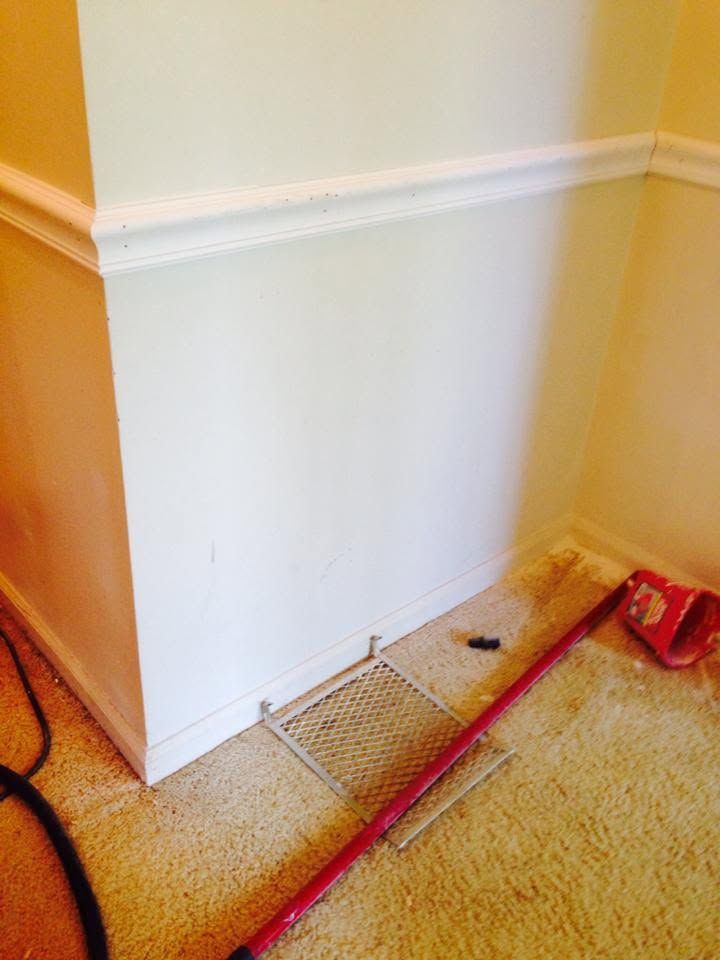 Corner of a room with white wainscoting, beige carpet, and a red pipe along the floor.