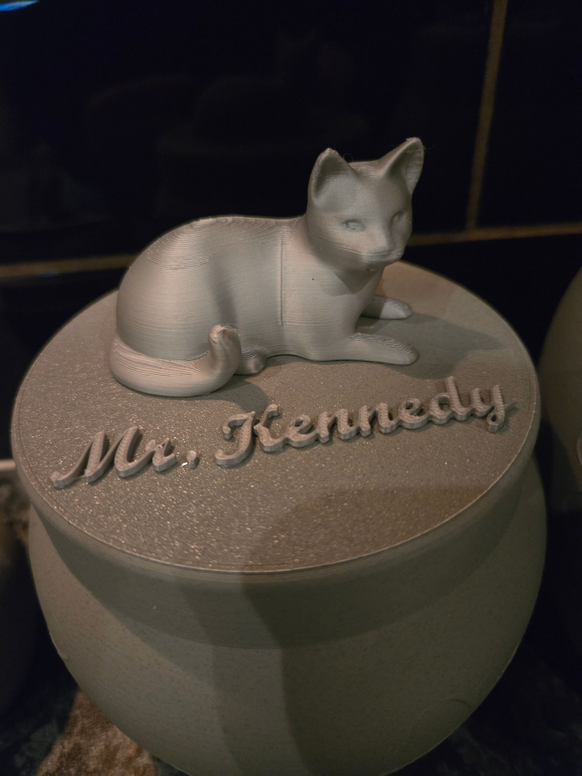 Een glinsterend zilveren urndeksel met een 3D-geprint kattenfiguurtje en de in reliëf aangebrachte naam 