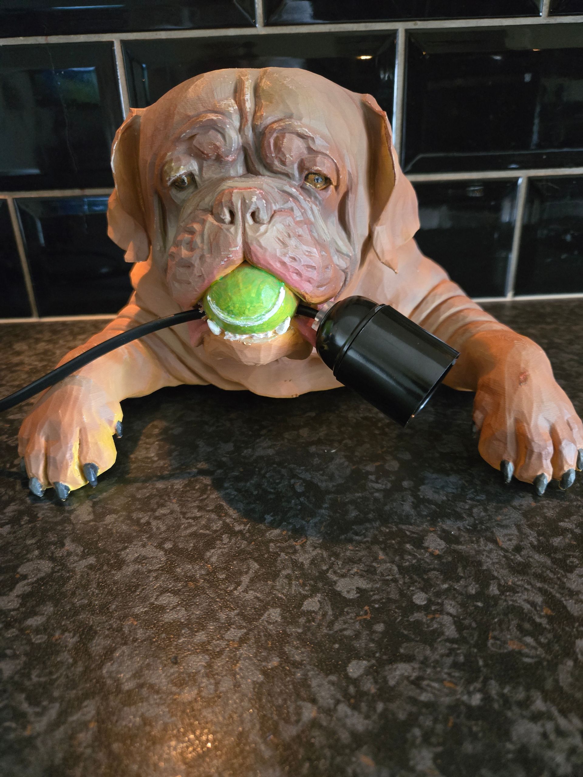 hond met bal