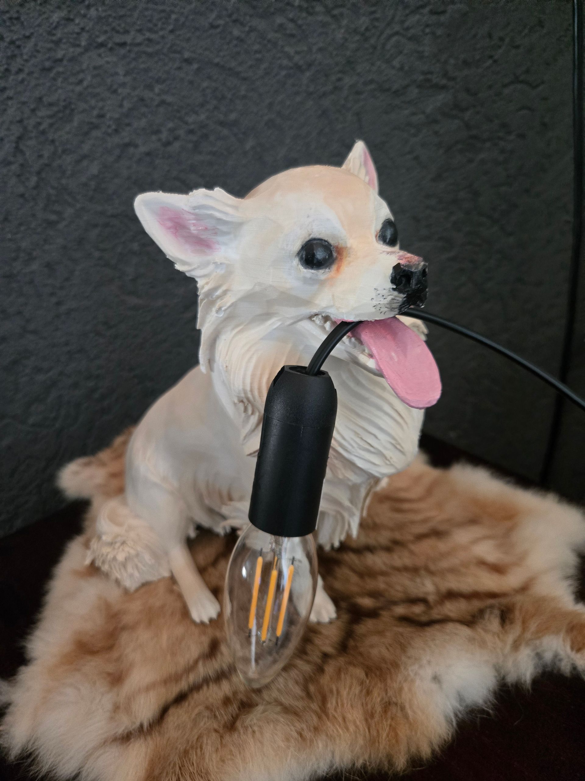 lamp