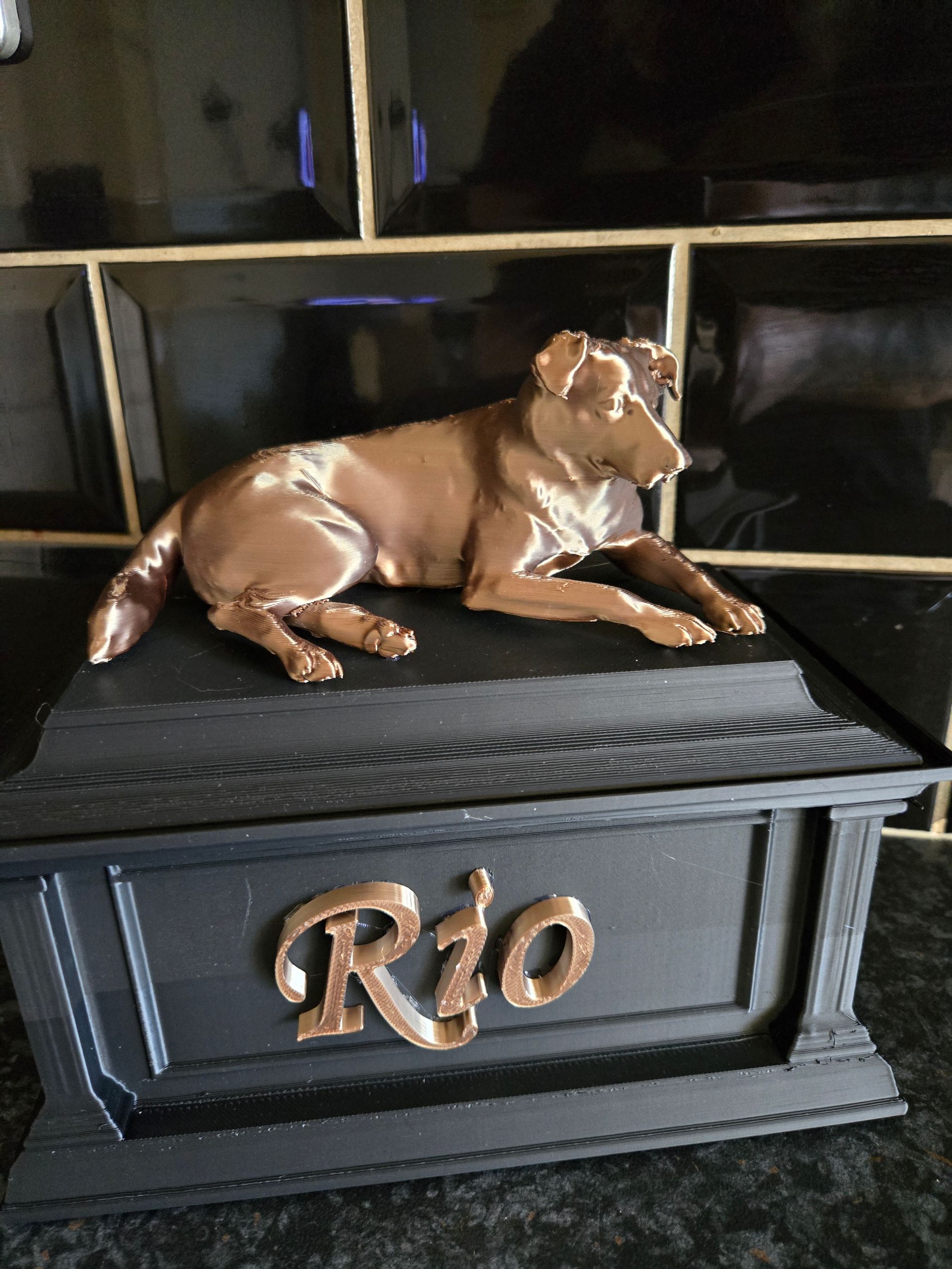 dog