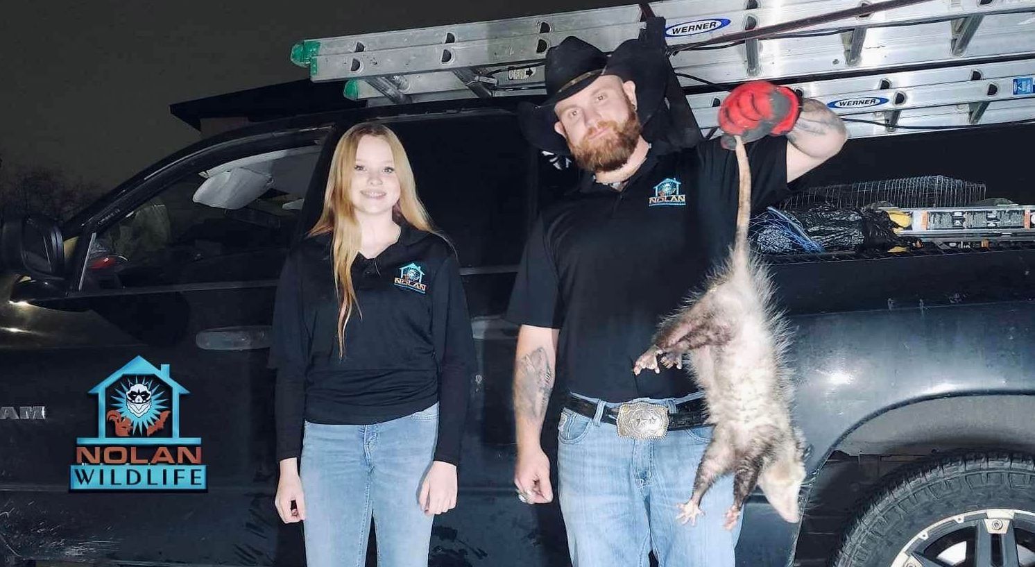 Nolan Wildlife Control, Opossum Removal