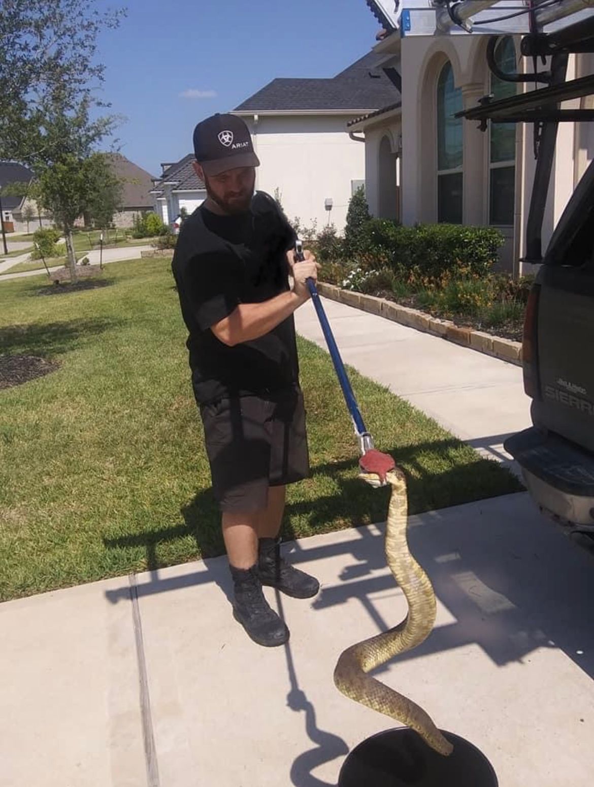 Nolan  Wildlife Snake Removal