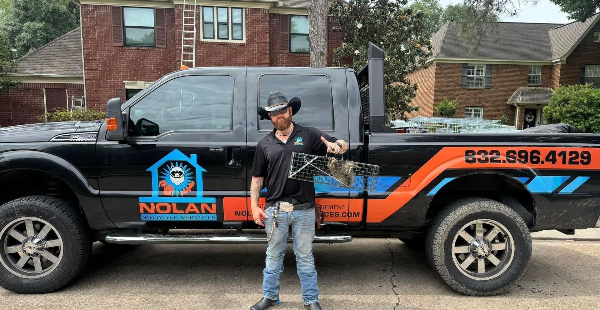 SQUIRREL REMOVAL