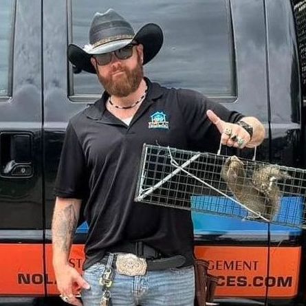 Squirrel Removal Houston TX