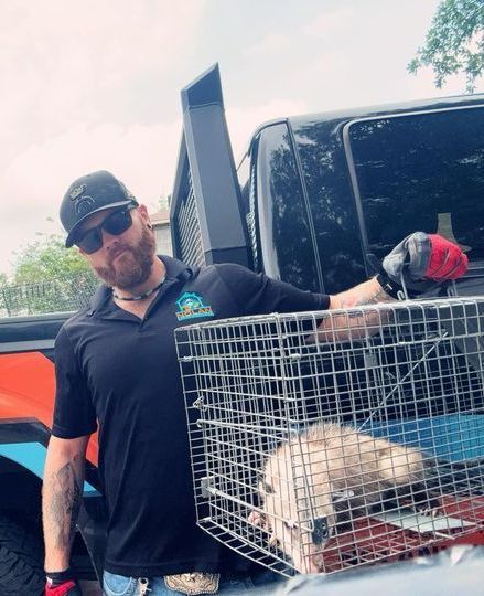 Opossum Removal Houston TX