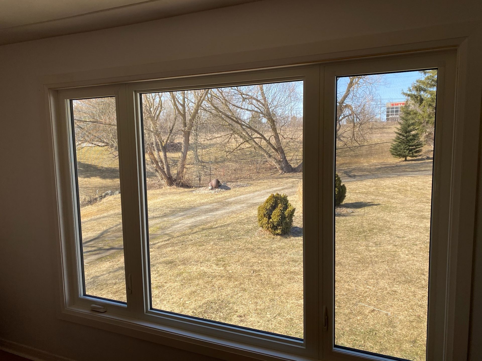 A multi-pane window with a view of a grassy yard, trees, and a dirt path on a sunny day.