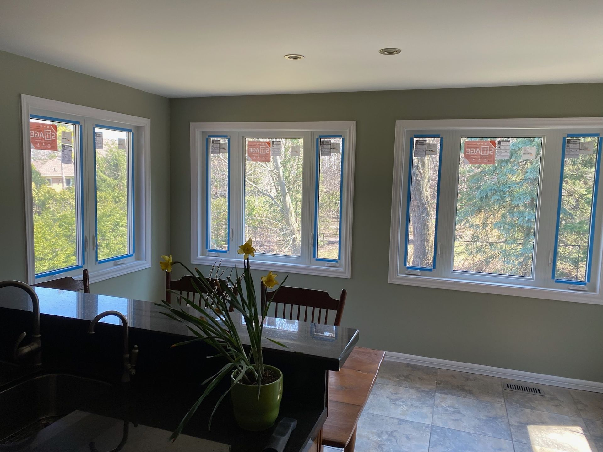 A bright kitchen with three windows, a dark countertop, and a plant on the table, with a green wall.