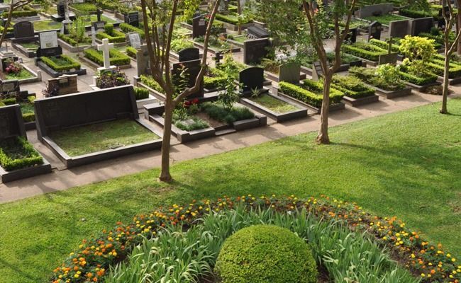 Cementerio ajardinado con hileras de tumbas, césped verde y parterres de flores.