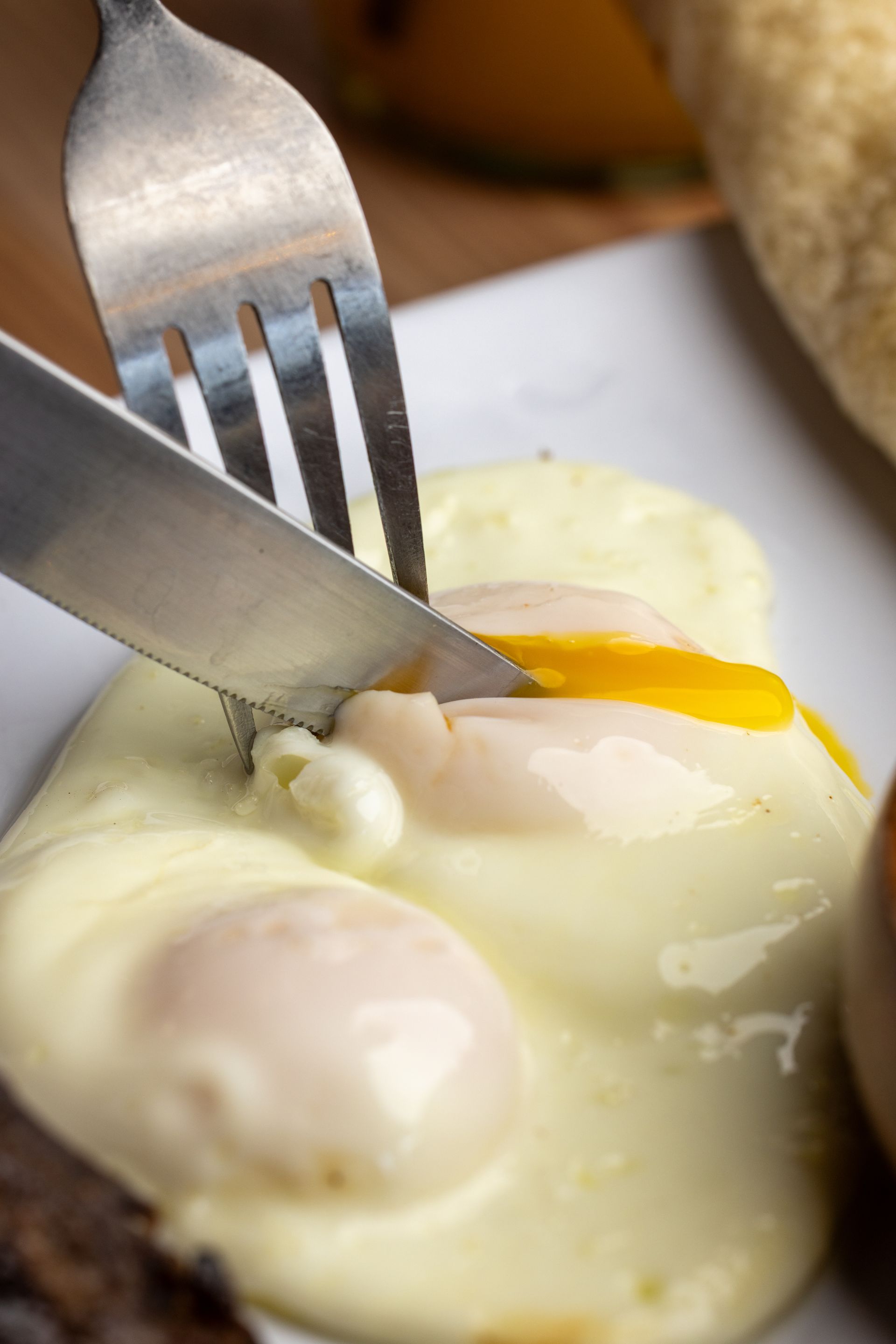 Picture of an egg