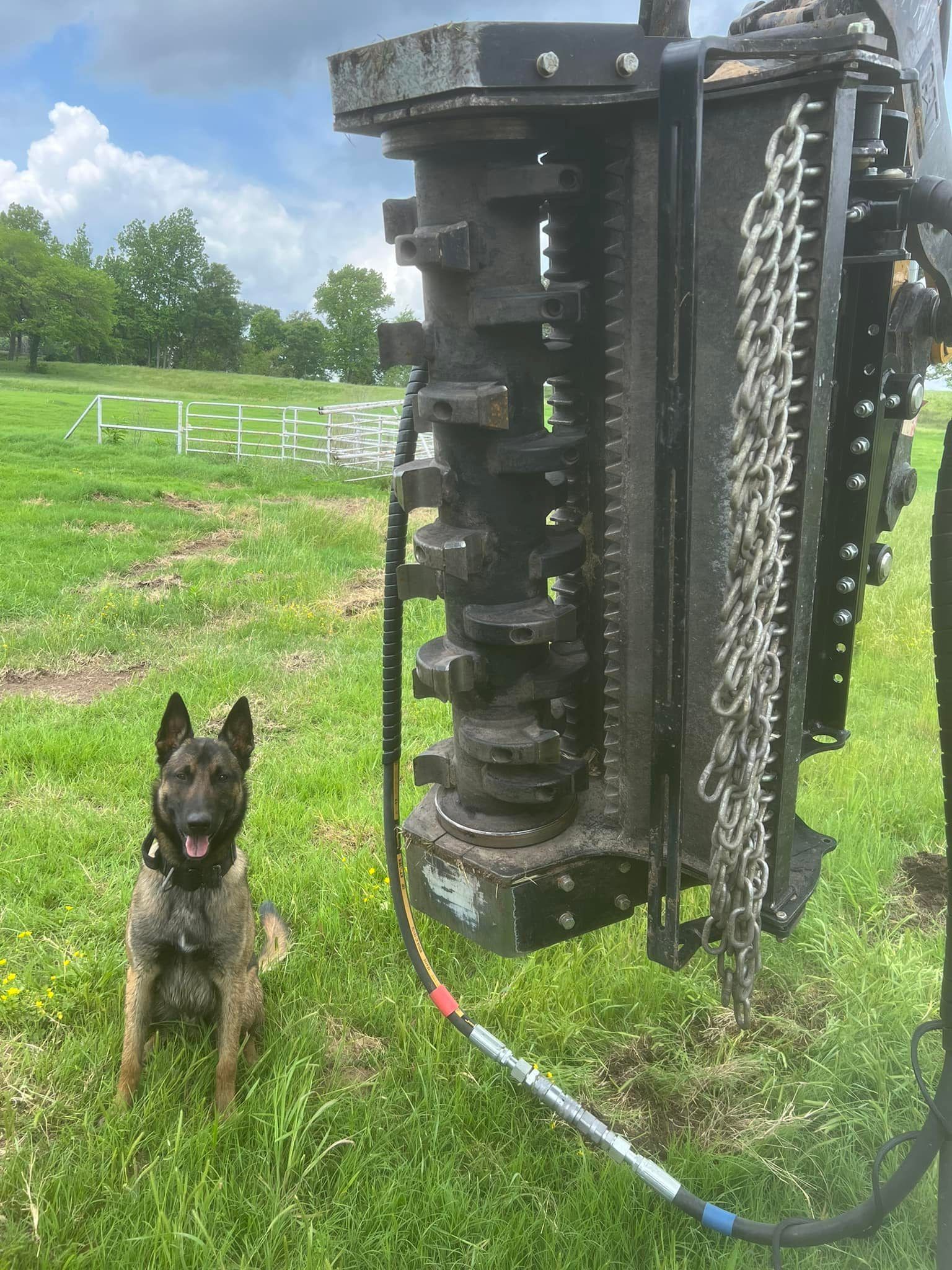 Dog sits near a large industrial machine in a grassy field.