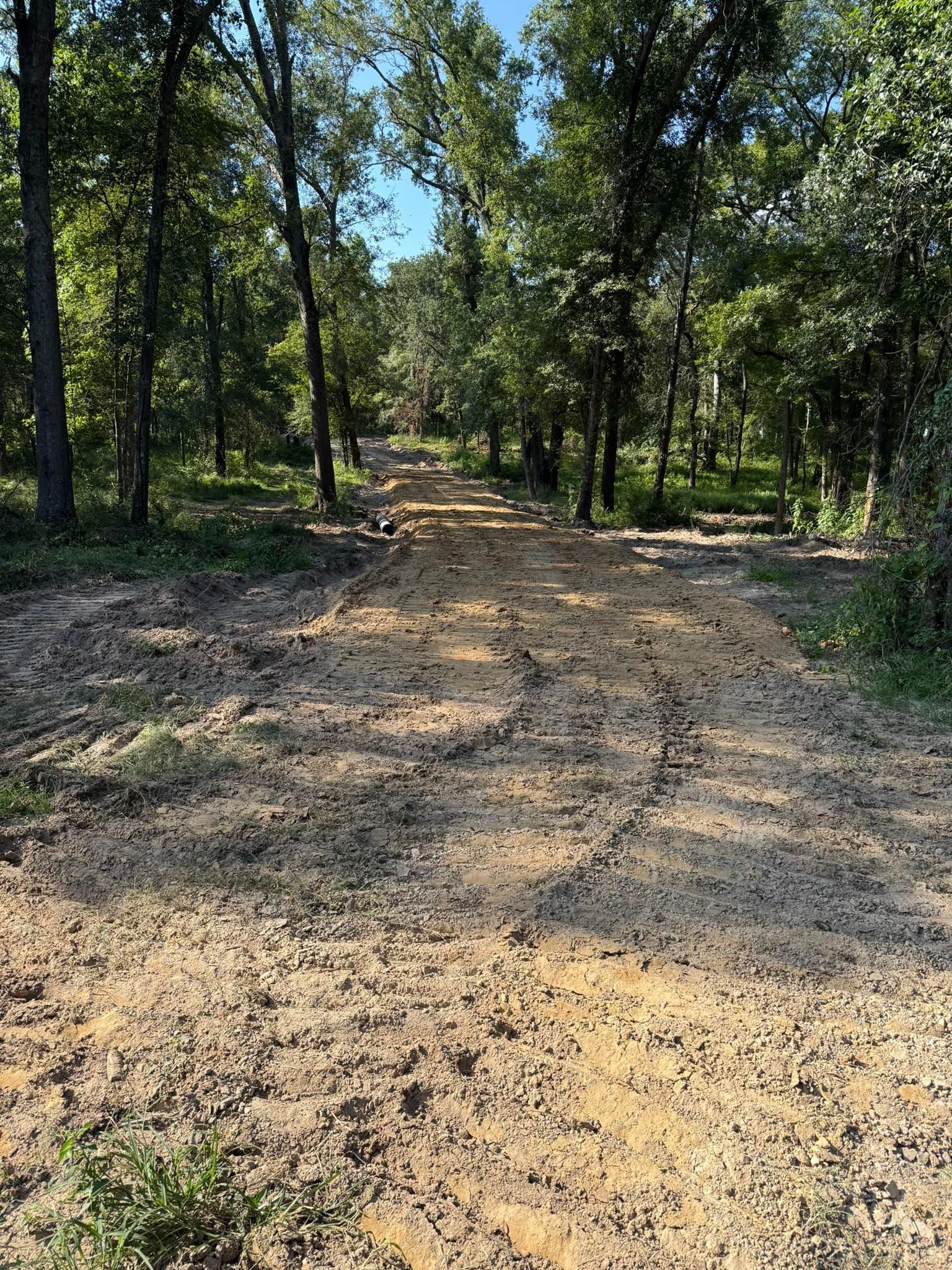 Dirt path through a forest, tire tracks visible. Sunny day.