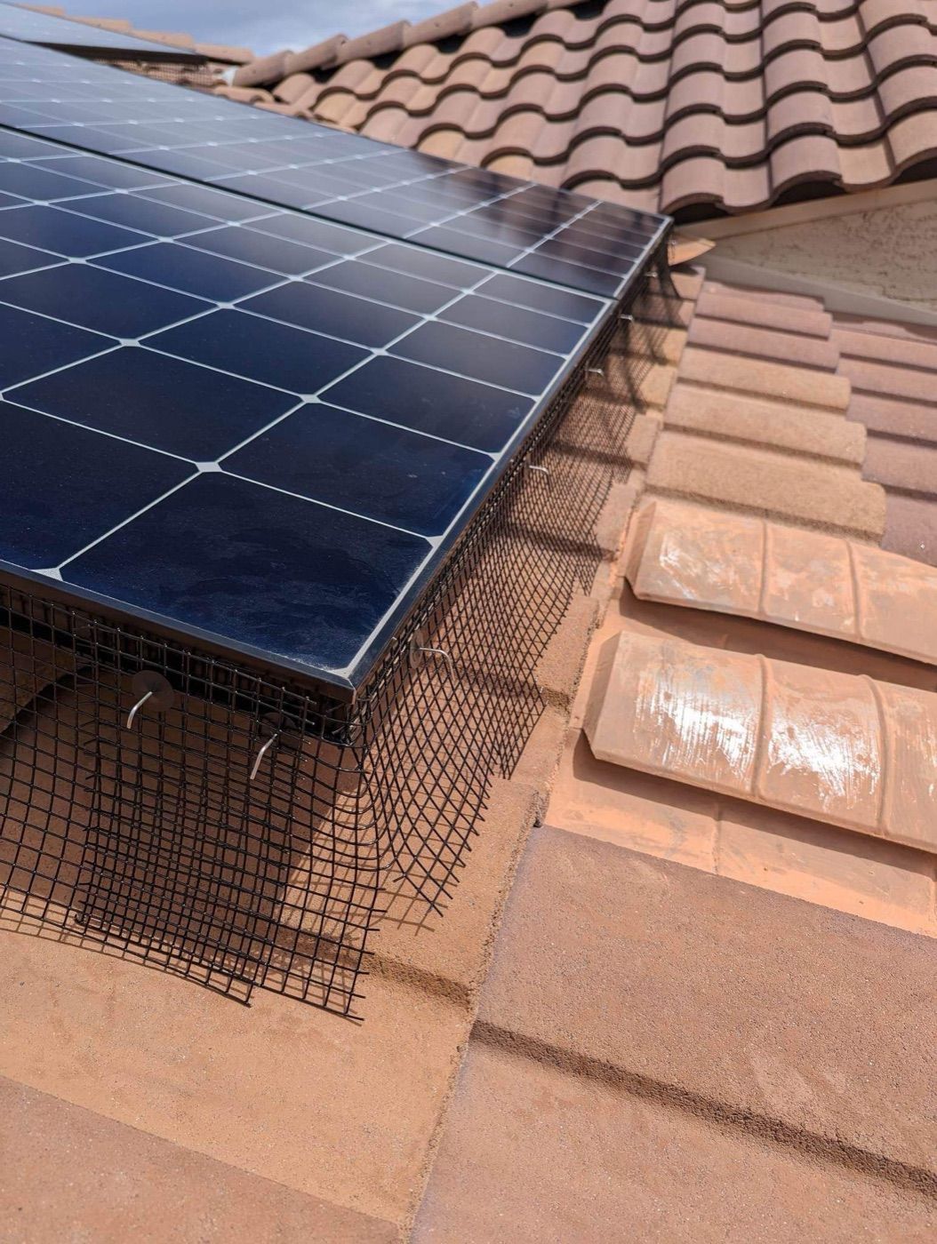 Mesh on a tile roof