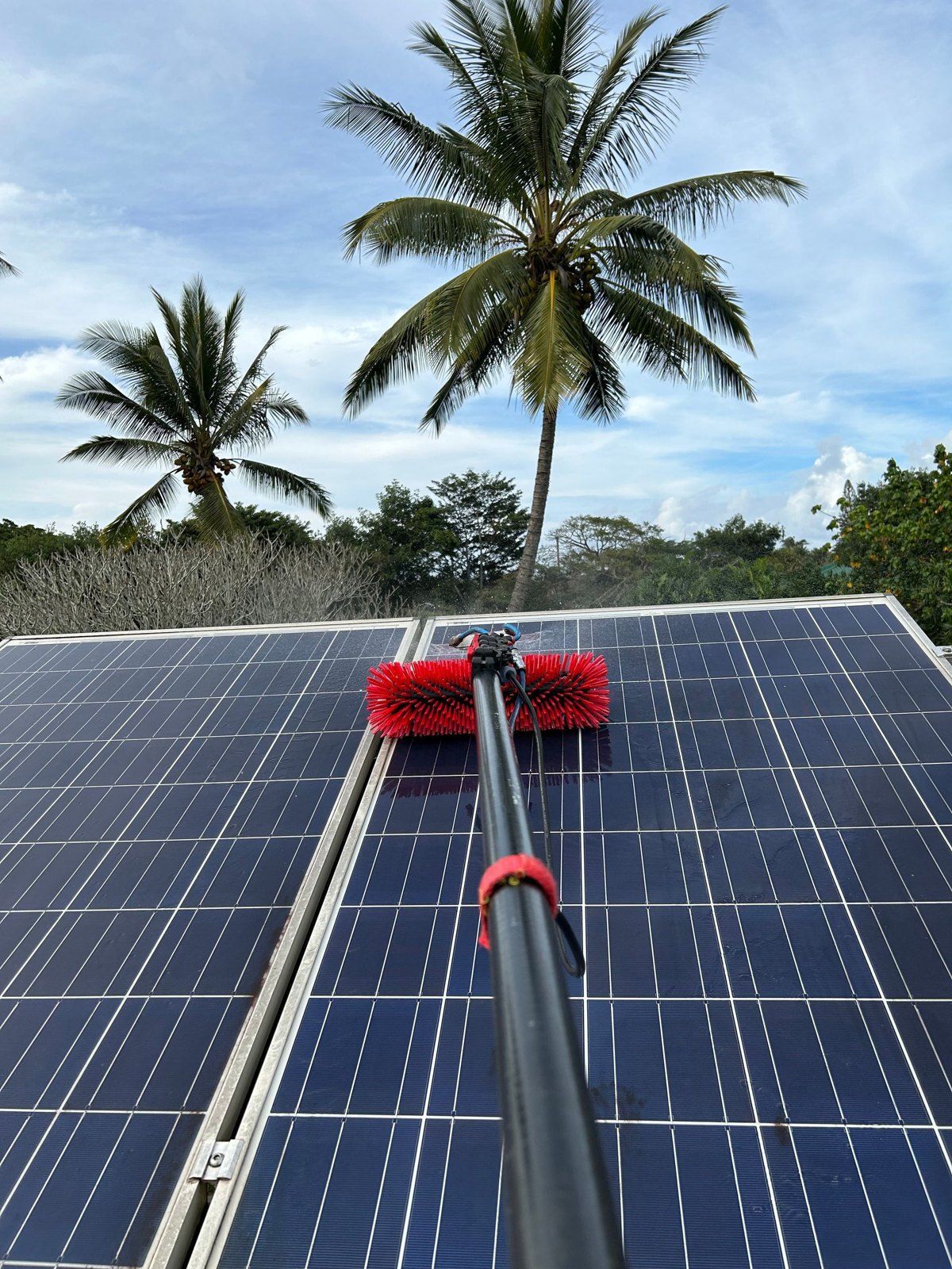Water-fed rotating brush on a residential array under a palm tree