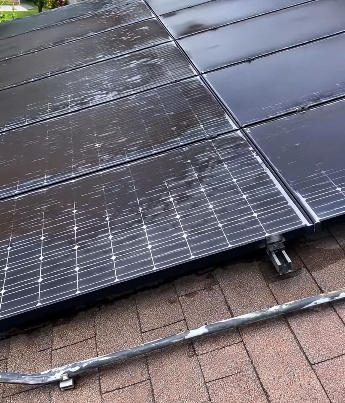 Dirty solar panels on a shingle roof in Kaneohe before cleaning