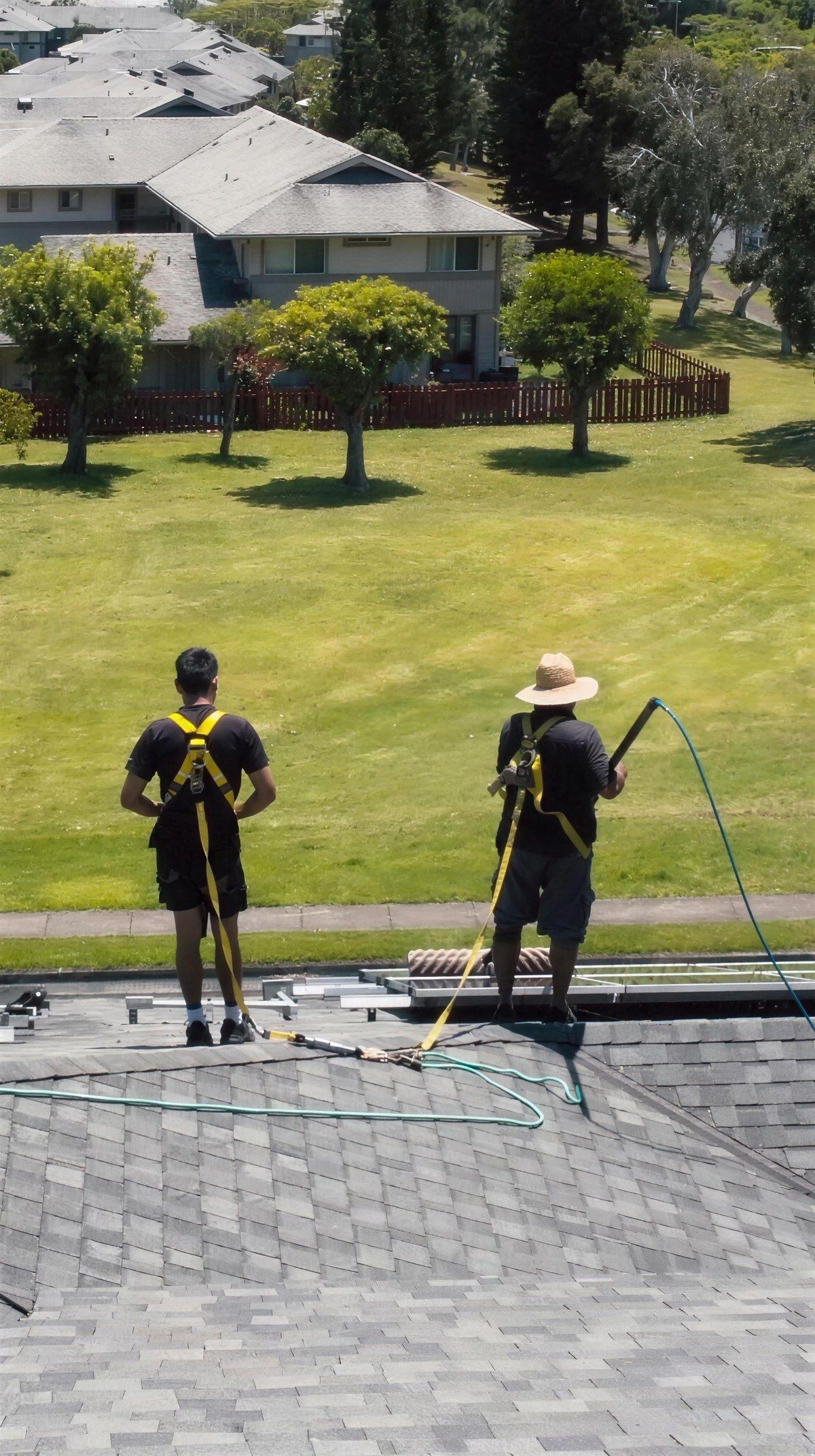 Two Sunshine techs in harnesses on a shingle roof, tied off, brushes ready