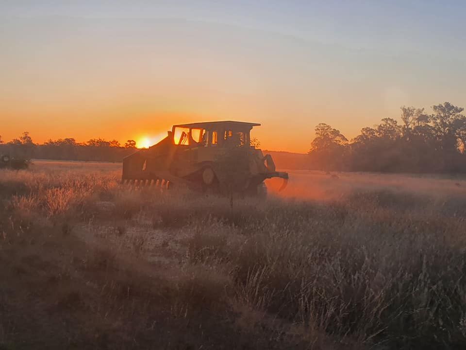 Tractor Driving Through a Misty Field at Sunrise and Silhouetted Trees — Oakleigh Earthmoving in Cotswold Hills, QLD