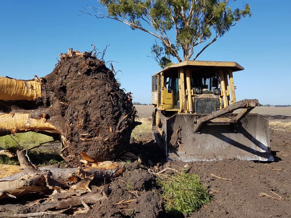 A Bulldozer is Pulling a Tree Out of the Ground — Oakleigh Earthmoving in Dalby, QLD