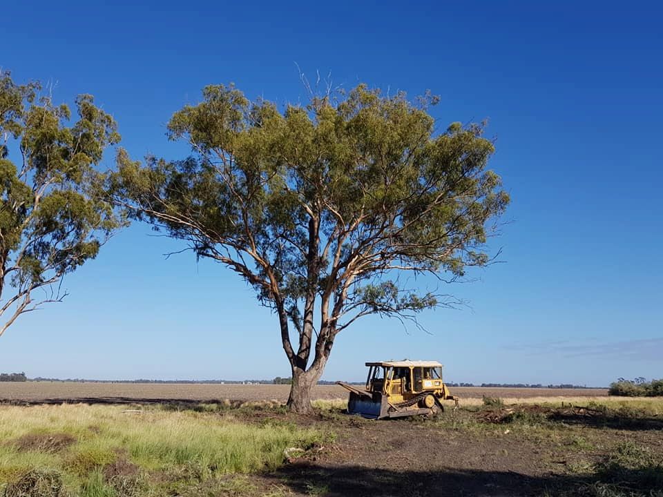 A Bulldozer is Parked Under a Tree in a Field — Oakleigh Earthmoving in Cotswold Hills, QLD