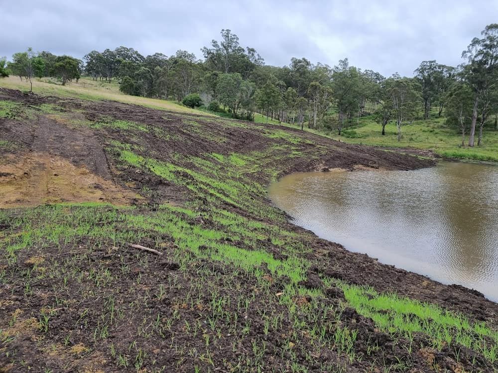There is a Pond in the Middle of a Field With Trees in the Background — Oakleigh Earthmoving in Cotswold Hills, QLD