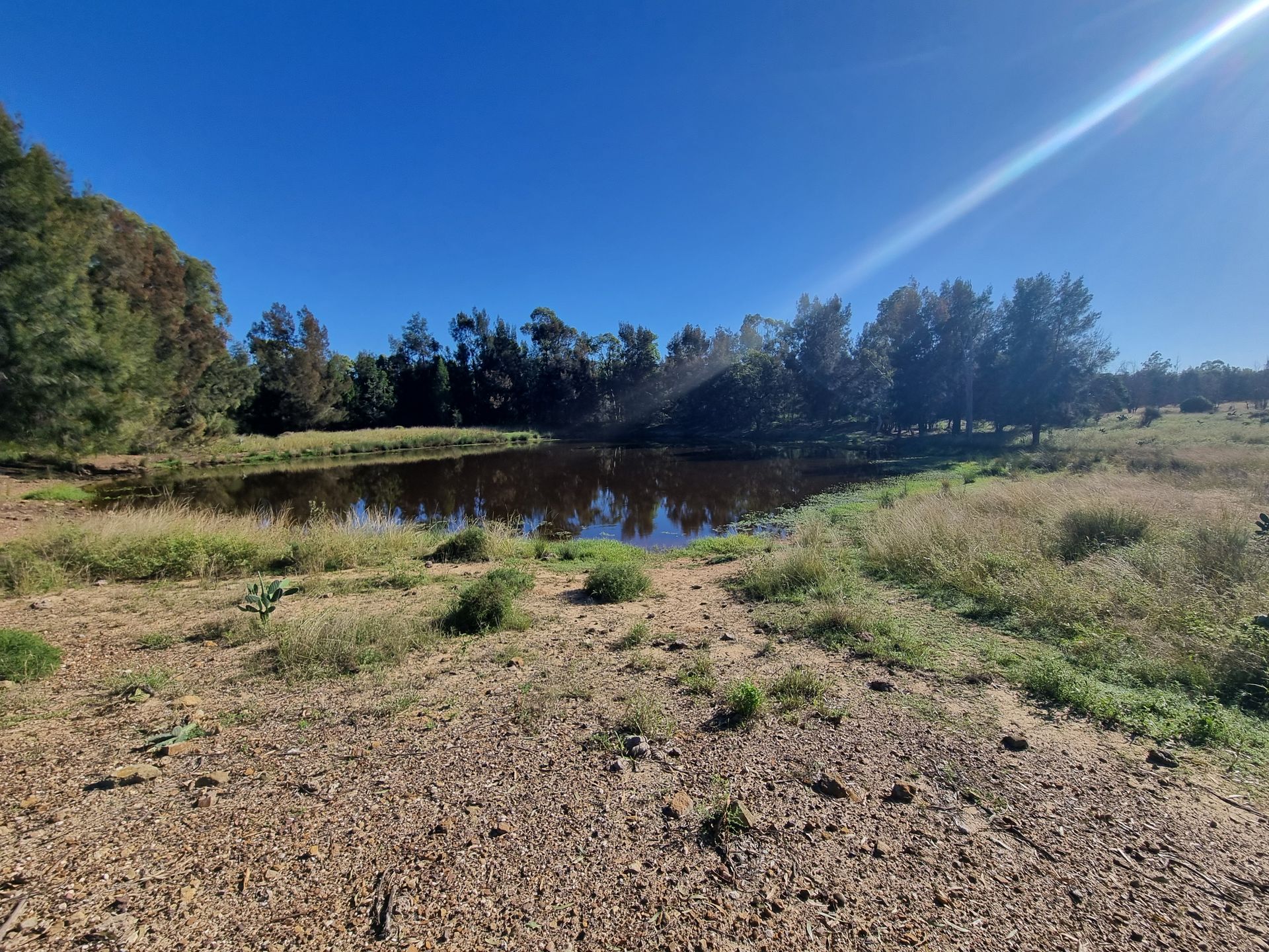 Grassy Lakeshore With a Small Pond, Trees in the Background — Oakleigh Earthmoving in Kingaroy, QLD