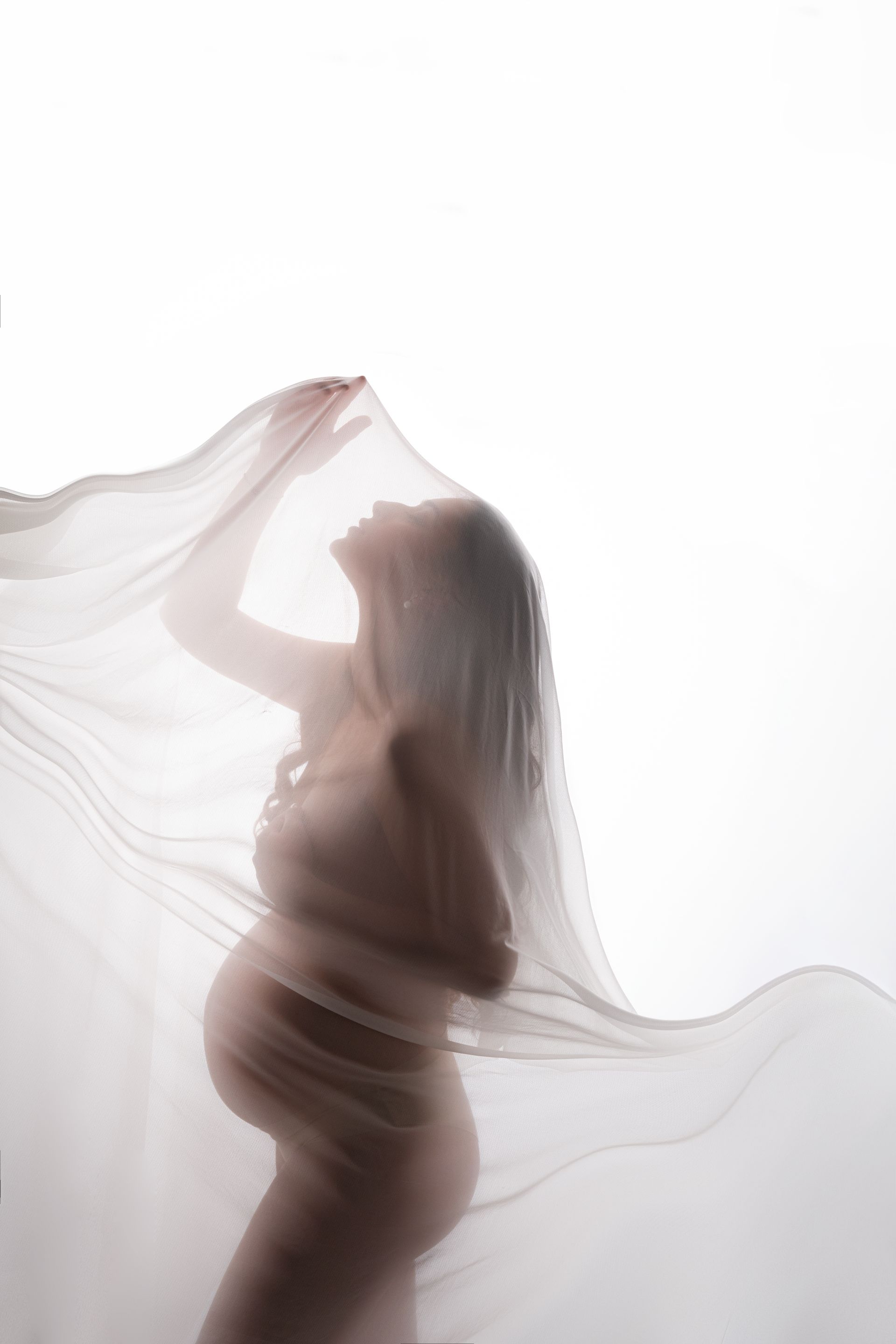 gravidanza