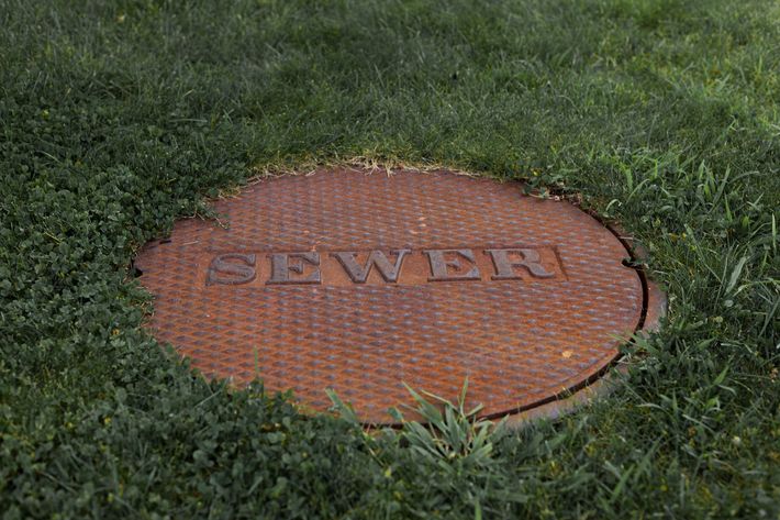 Orange utility cover labeled “SEWER” in grass