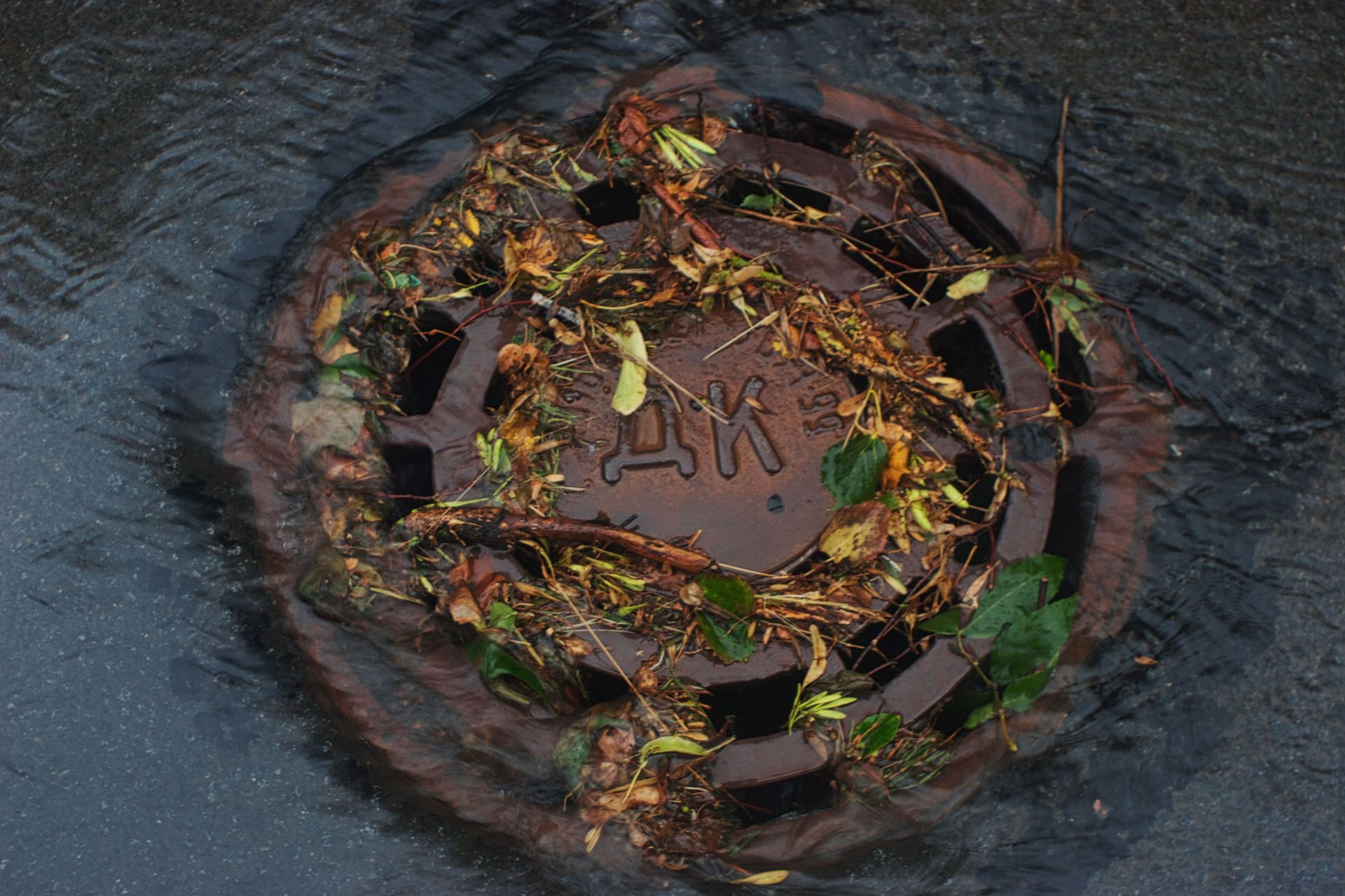 Circular stone emblem with carved letters and vines on wet pavement