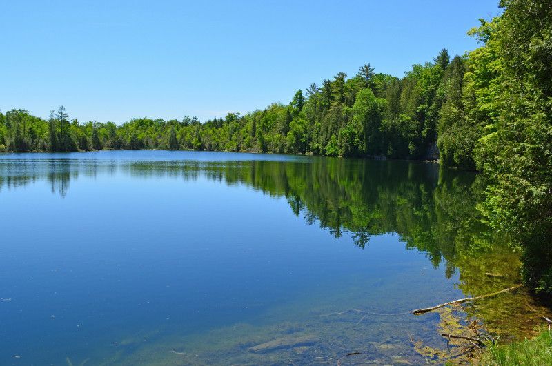 A lake surrounded by trees on a sunny day in Milton, Ontario