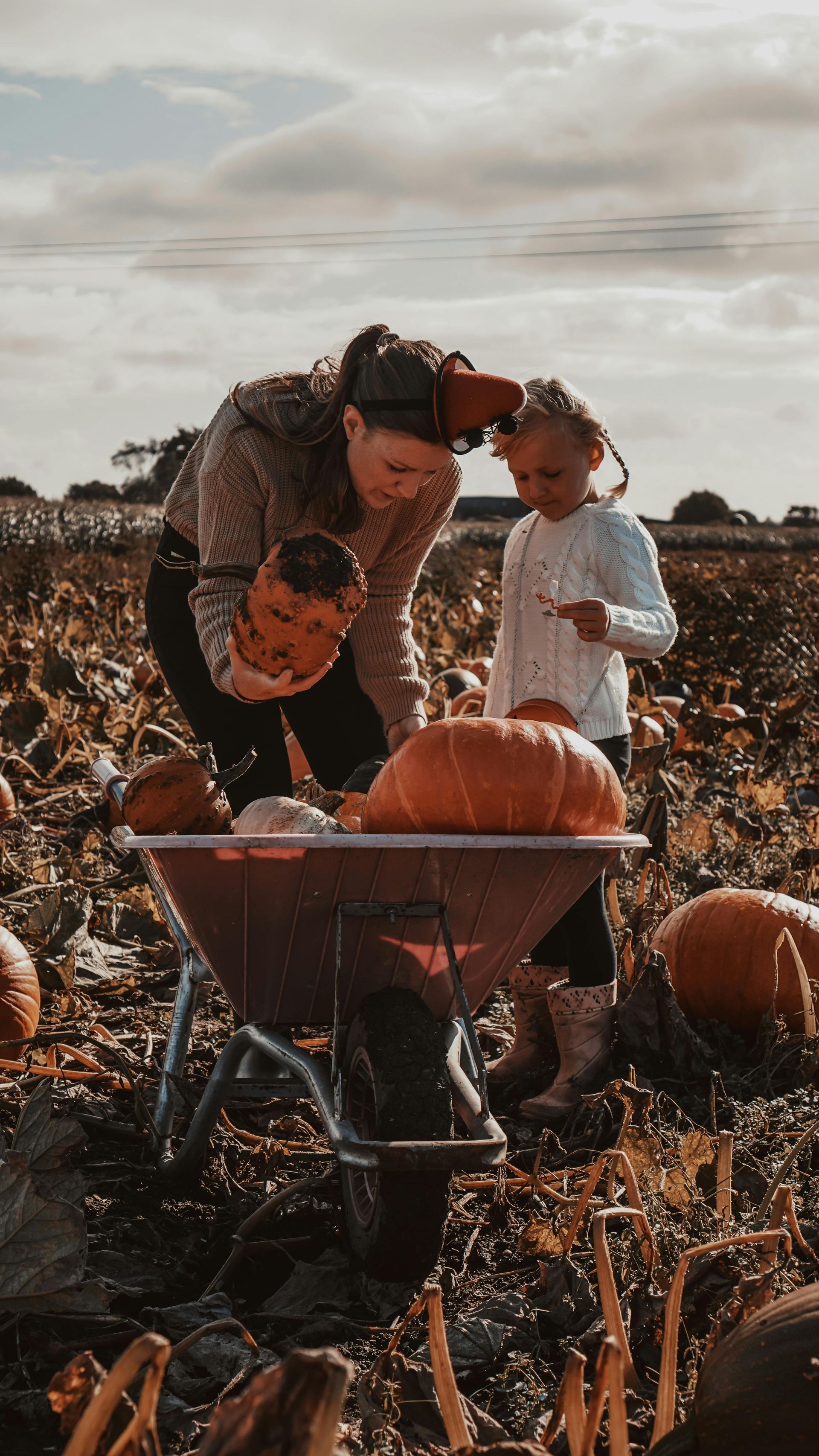 A woman and a child are picking pumpkins in a field.