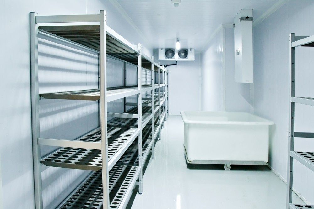 A White Walk-In Freezer with Stainless Steel Shelves — Gordon's Air Conditioning & Refrigeration Services in Maleny, QLD