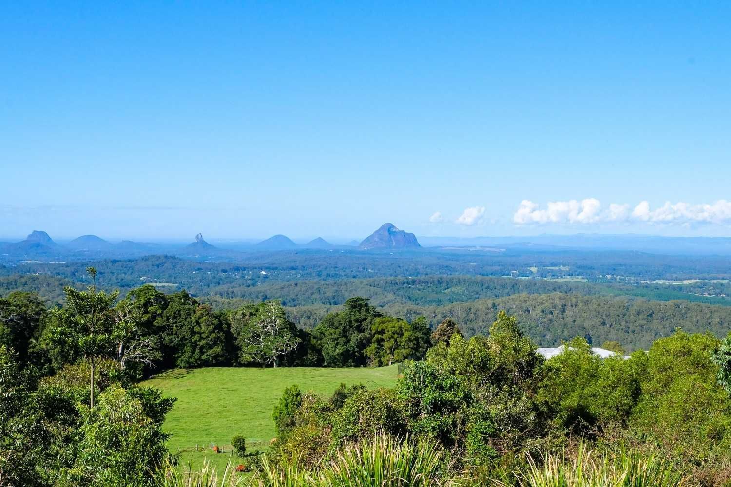 Vibrant Green Valley and Forest — Gordon's Air Conditioning & Refrigeration Services in Maleny, QLD