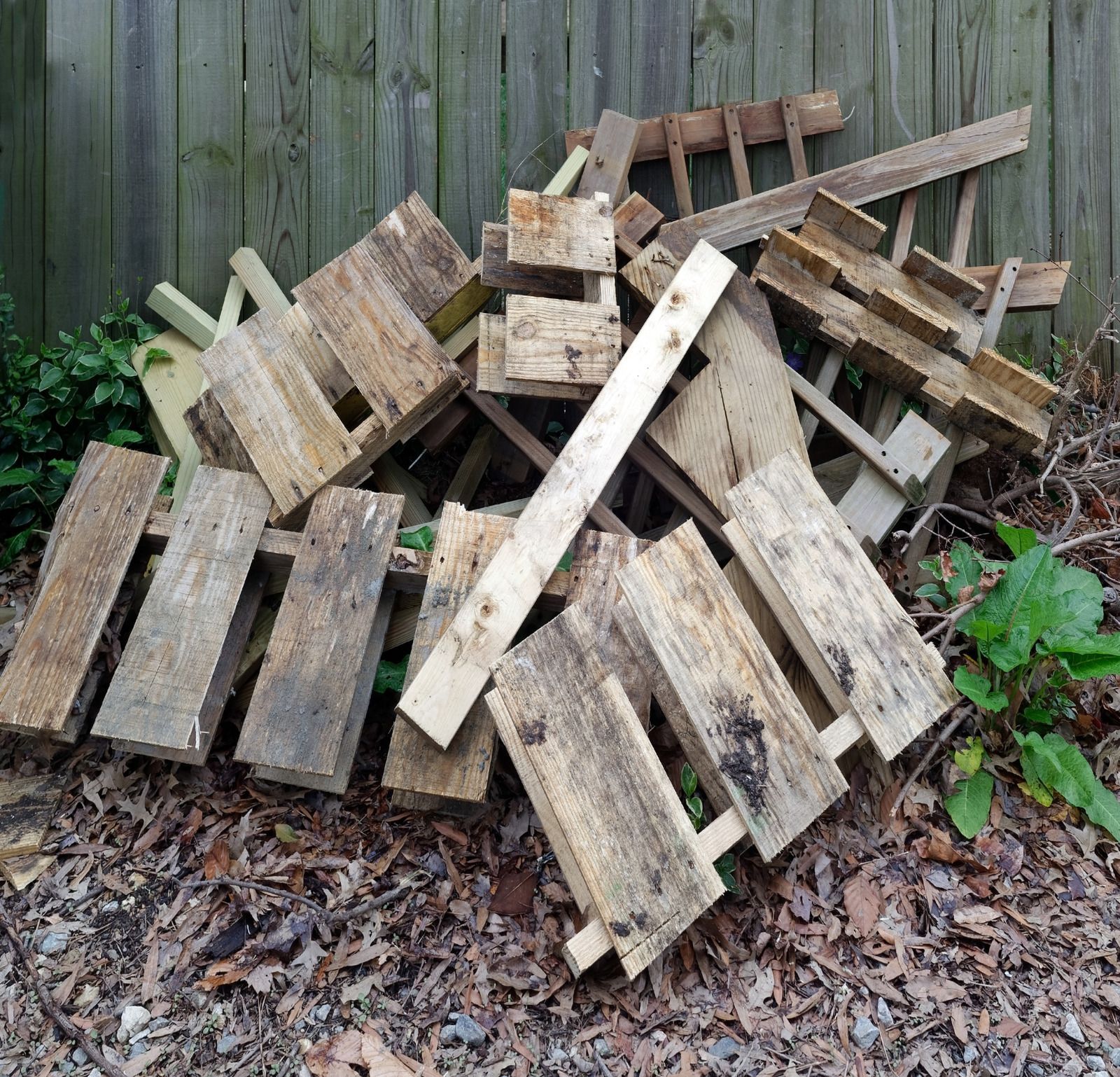 Pile of weathered wooden planks against a wooden fence, surrounded by leaves and foliage.