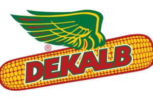 Dekalb