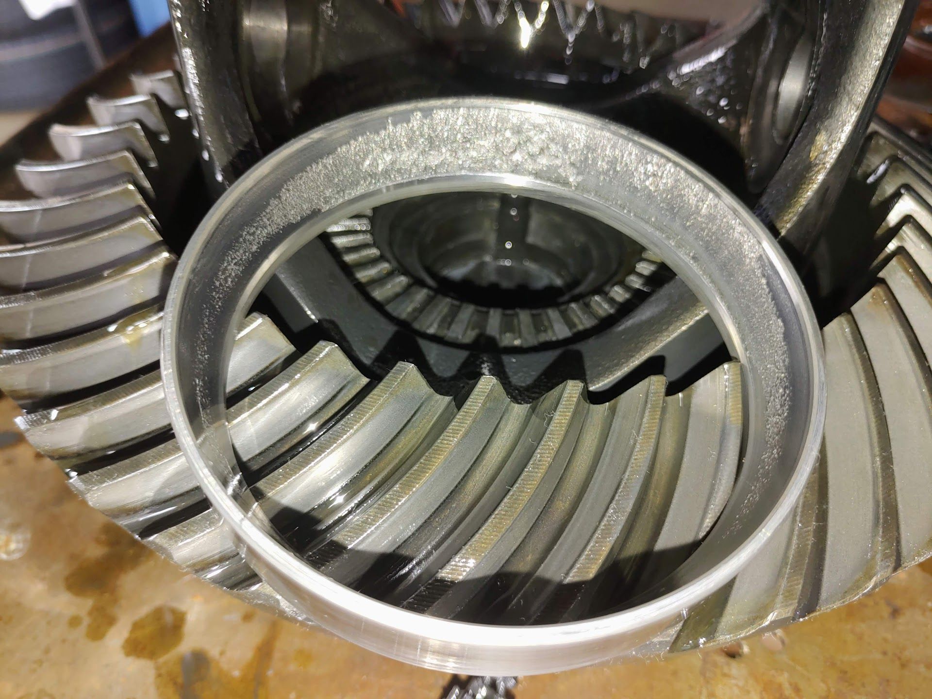 Open differential with ring gear | St. Lucie Auto Dynamics