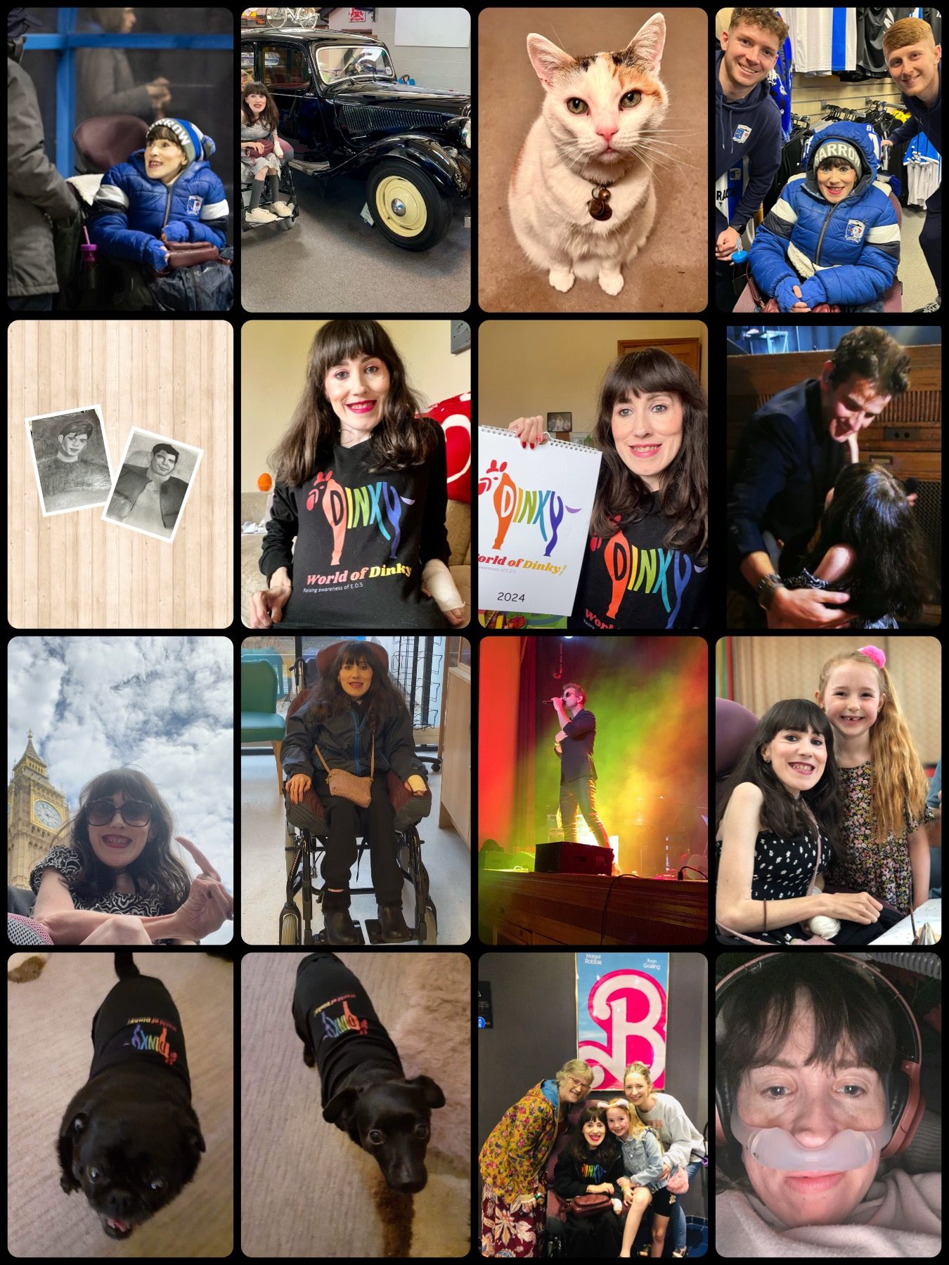 A collage from throuKatie's year.