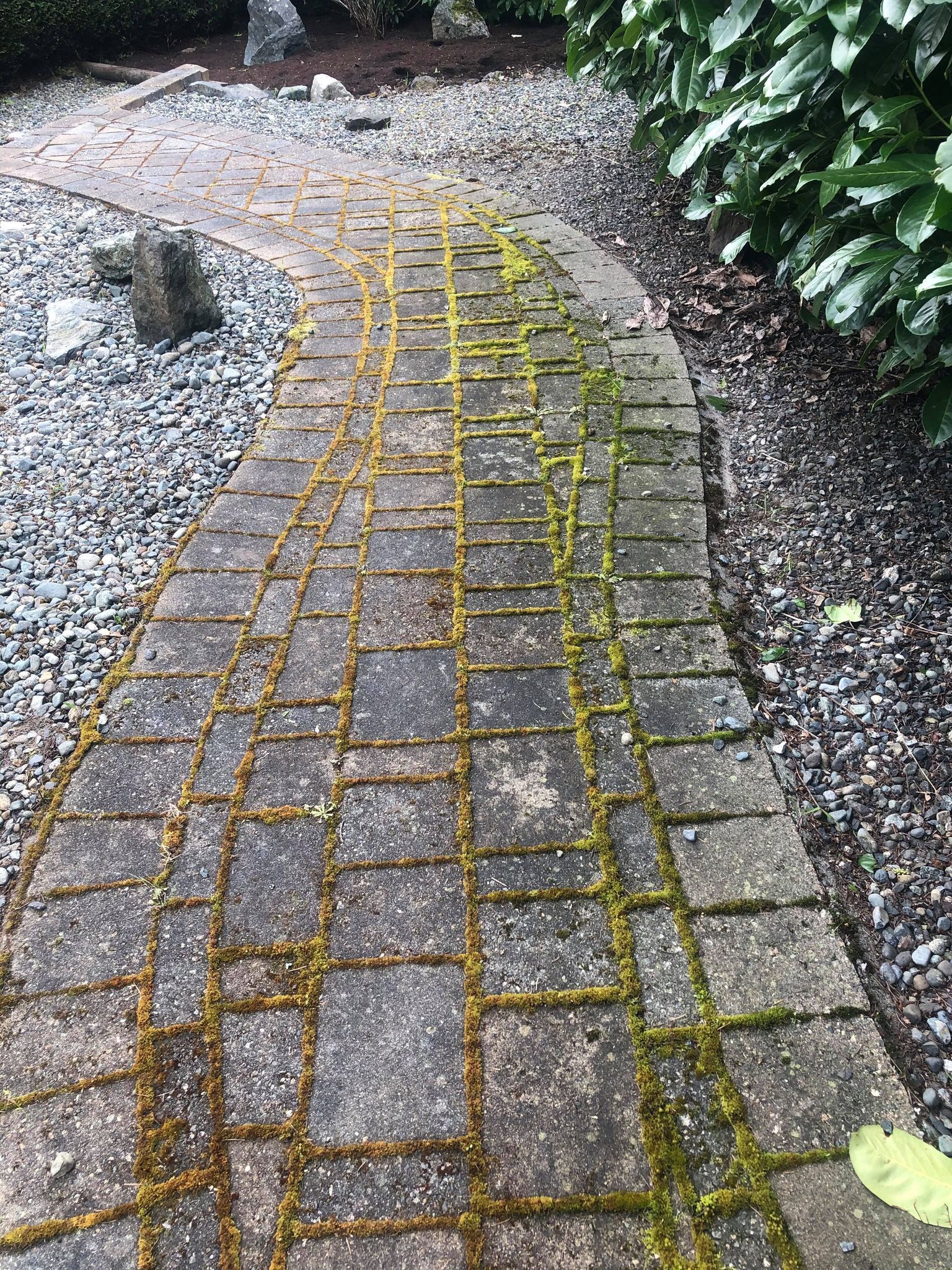 Before Victoria pressure washing service