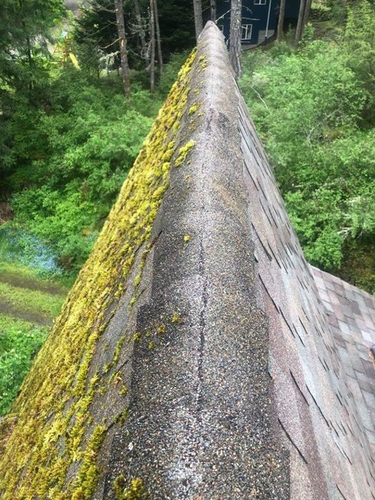 The Pressure Washing Pros