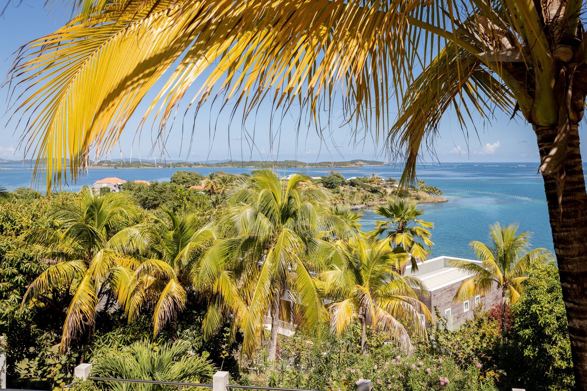 VILLA CORALIE EN MARTINIQUE | DOMAINE DES FONDS BLANCS - GALERIE VUE 8