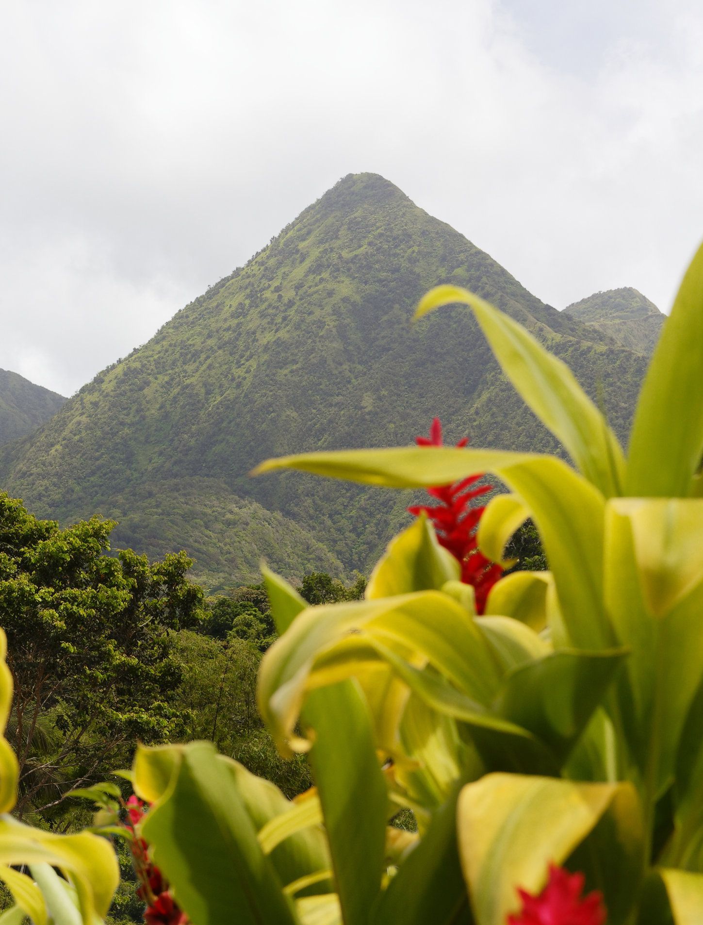 HISTORY OF MARTINIQUE - VIEW 3