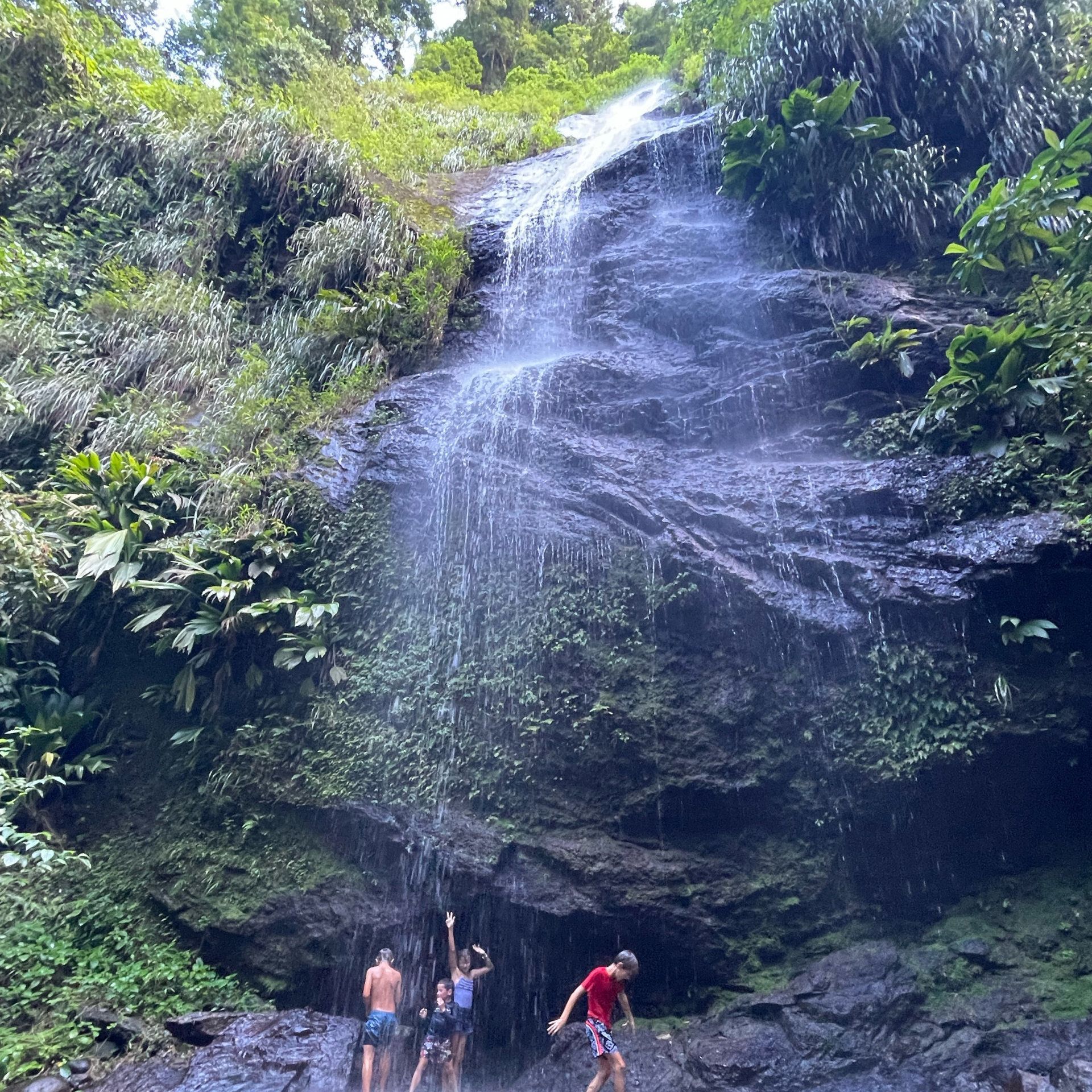 RANDONNEE EN MARTINIQUE - VUE 3