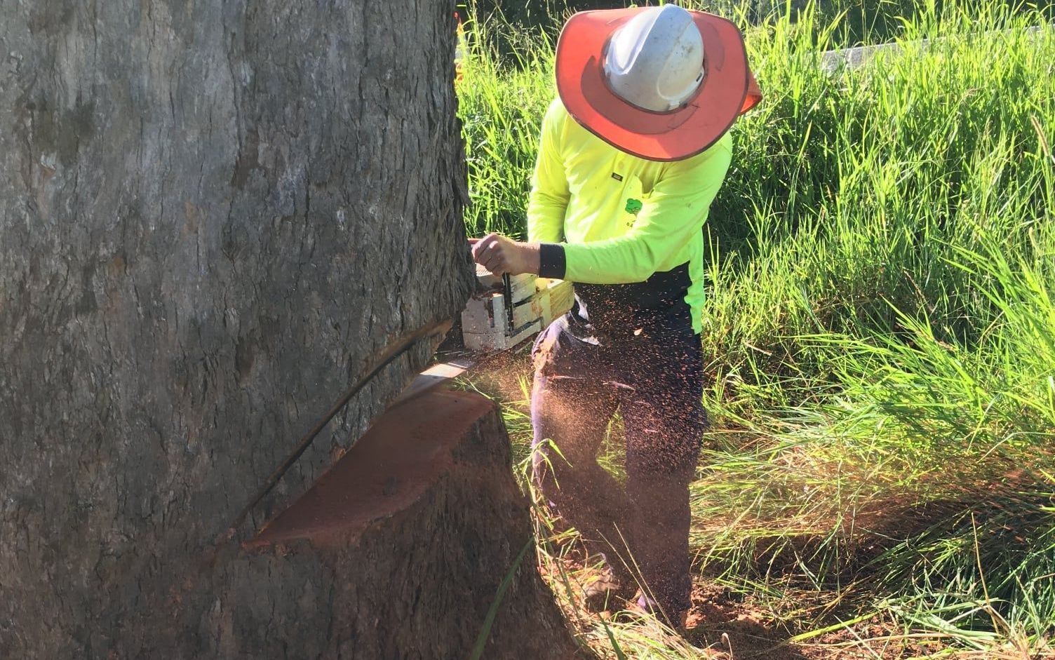 Man With Chainsaw Cutting the Tree — Active Tree Fellas in Cherwell, QLD