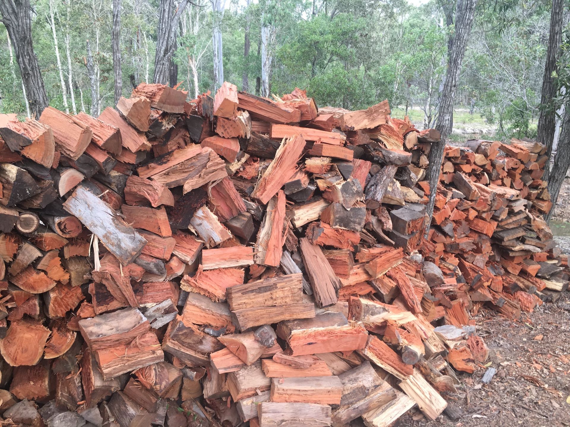 Truck of Firewood — Active Tree Fellas in River Heads, QLD