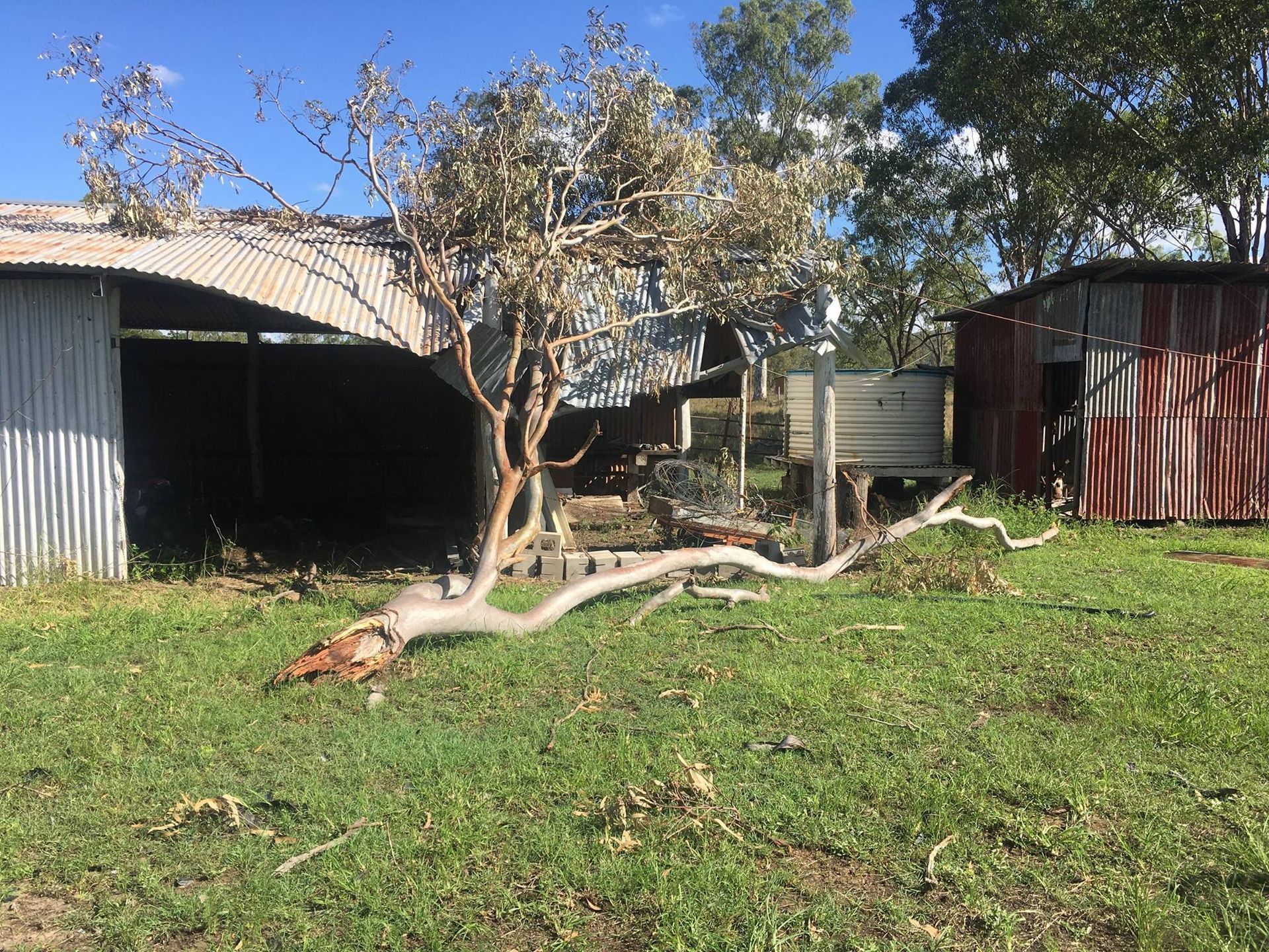 Windmill for Electricity — Active Tree Fellas in Tuan, QLD