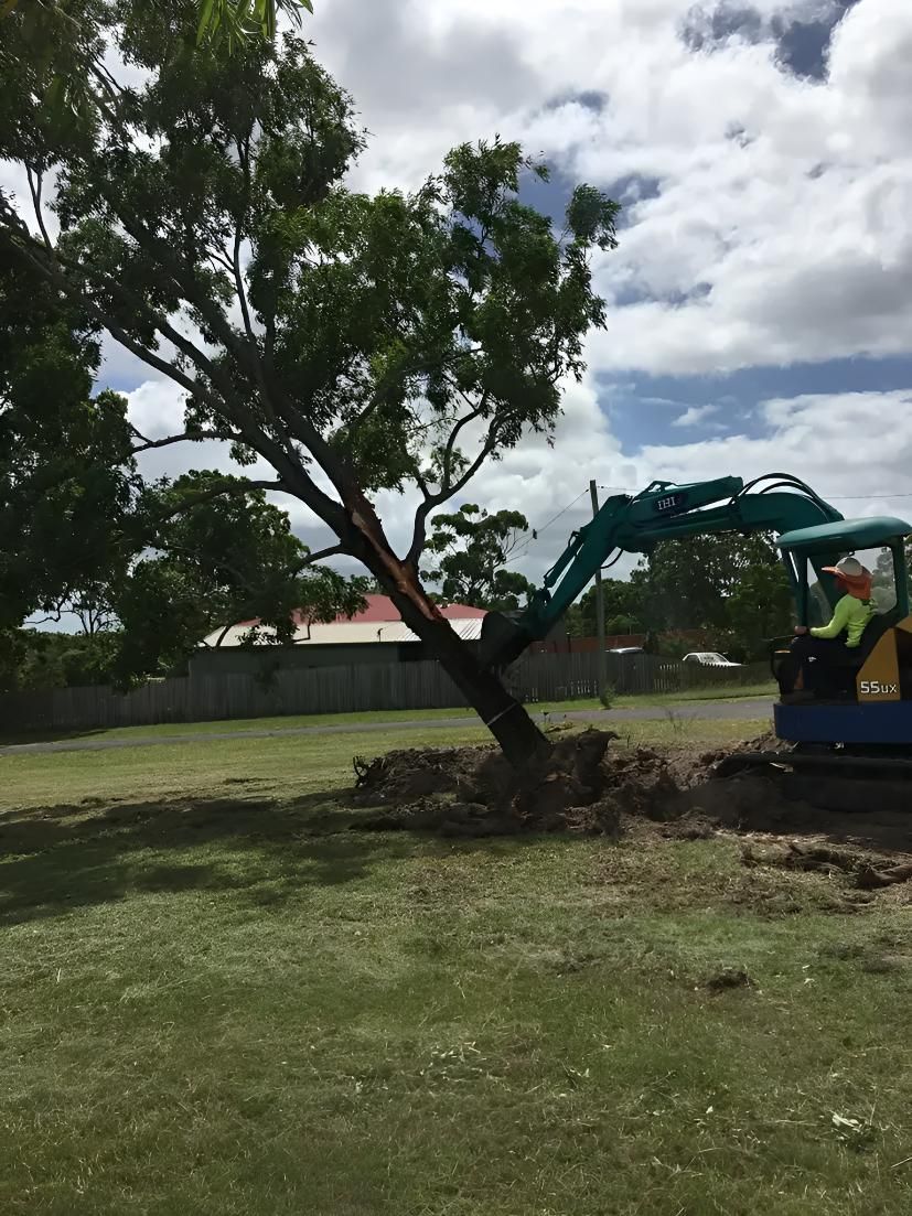 A Man is Driving an Excavator in a Field Next to a Tree — Active Tree Fellas in Tiaro, QLD